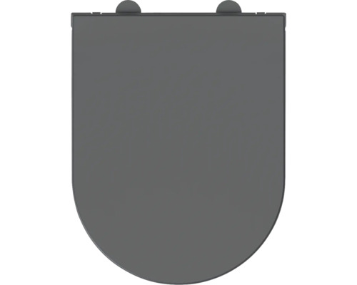 Grå toalettring uppifrån