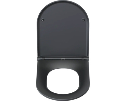 Svart toalettlock