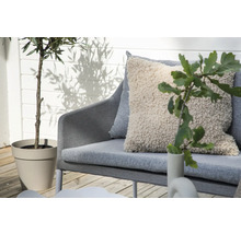 Grå trädgårdssoffa med kuddar och växt i kruka