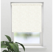 Vy över ett fönster med en beige rullgardin och en krukväxt