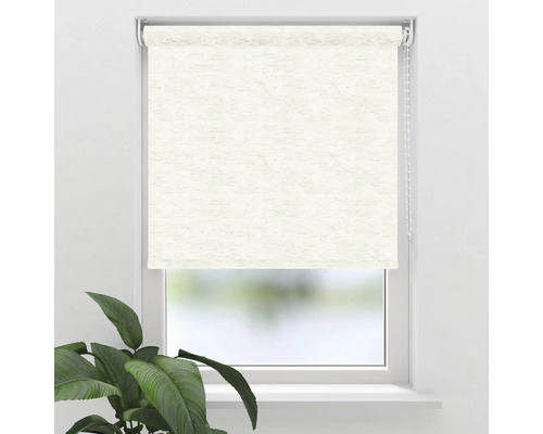 Vy över ett fönster med en beige rullgardin och en krukväxt