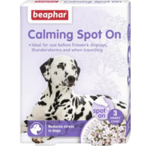Beaphar Lugnande Spot On för hundar för att minska stress före fyrverkerier, åskväder och resor