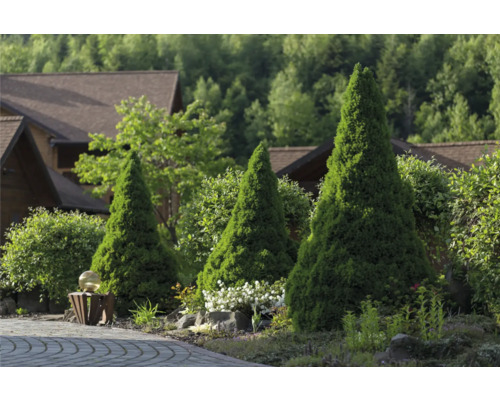 Trädgårdslandskap med konformade träd, buskar och blommor