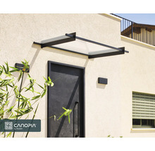 Modernt entrétak med svart metallram och transparent panel ovanför en mörk ytterdörr.