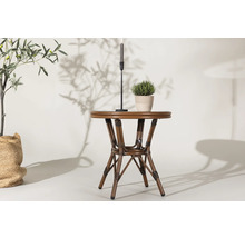 Sidobord i rotting med ljusstake och krukväxt