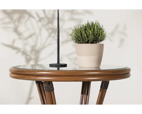 Dekorativ krukväxt i en kruka på ett runt sidobord