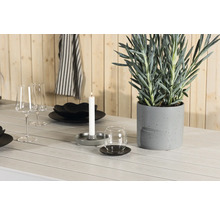 Dukat bord med porslin, glas, ljus och krukväxt