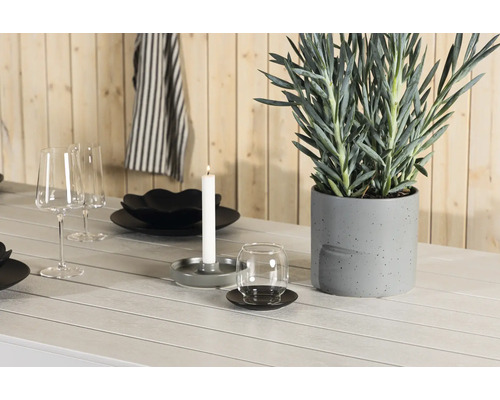 Bordsdekoration med växt, porslin och ljus