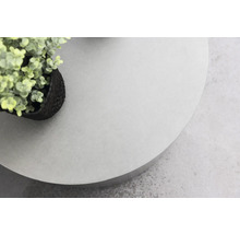 Rund bordsskiva med växt i kruka