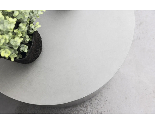 Rund bordsskiva med växt i kruka