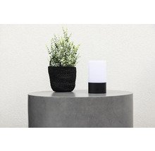 Dekorativ bordslampa bredvid växt i kruka på sidobord