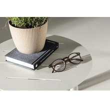 Scen med krukväxt, bok och glasögon på ett runt bord