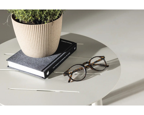 Scen med krukväxt, bok och glasögon på ett runt bord