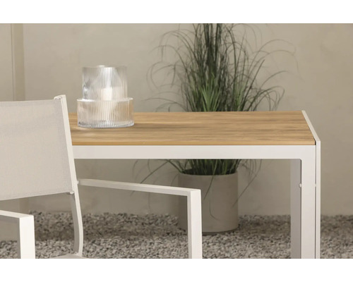 Detaljvy av ett trädgårdsbord med ett dekorativt föremål och en växt