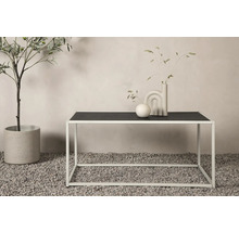 Dekorativ scen med bord, vaser och krukväxt