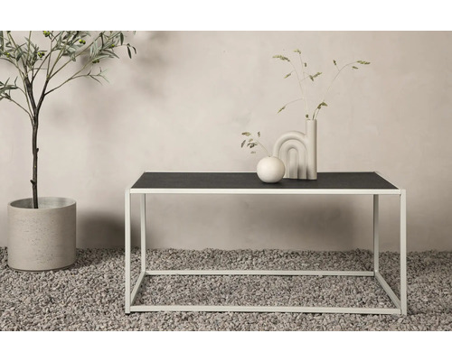 Dekorativ scen med bord, vaser och krukväxt