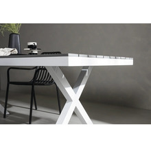 Matbord med bordsben i X-form och stol