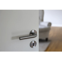 Dörr med dörrhandtag och nyckelrosett