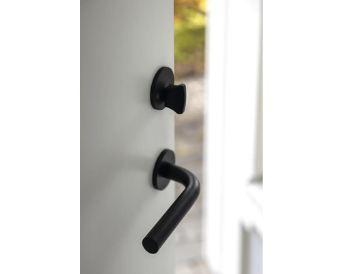 Dörrbeslag med vridknapp och dörrhandtag