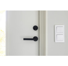 Vitlackerad dörr med svart dörrhandtag och ljusströmbrytare