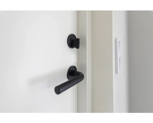 Dörrbeslag med dörrhandtag på en dörr