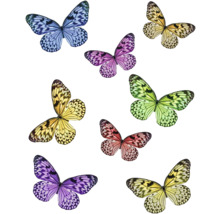 Illustration av olika färgglada fjärilar