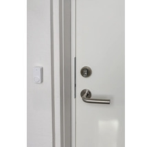 Dörr med dörrhandtag, lås och trådlös dörrklocka