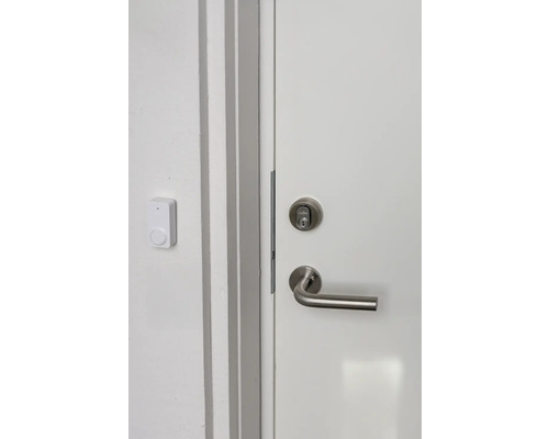 Dörr med dörrhandtag, lås och trådlös dörrklocka