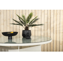 Dekorativt bord med glasskiva, växt och skål