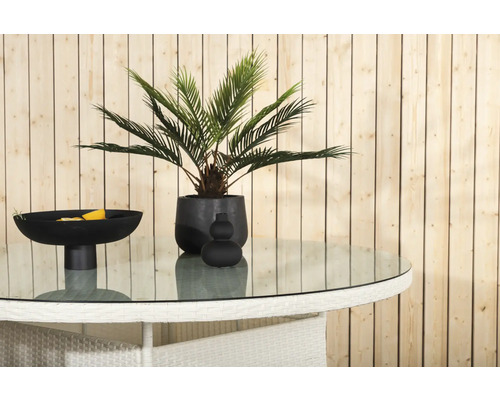 Dekorativt bord med glasskiva, växt och skål