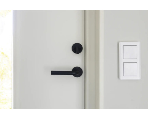 Dörr med svart dörrhandtag och strömbrytare