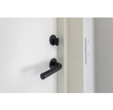 Dörr med svart dörrhandtag och dörrlås