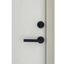 Dörrbeslag med spakhandtag på en dörr