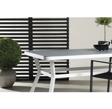 Trädgårdsscen med matbord, växt i kruka och insynsskydd