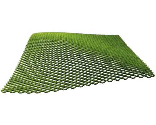 Gräsarmeringsplattor med gräsbevuxen för trädgården