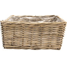 Rektangulär växtkorg av rotting med folie