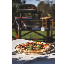 Pizza med basilika på träbräda framför pizzaugn utomhus