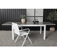 Utsikt med ett förlängningsbart trädgårdsbord, en stol, krukväxter och dekorationer för utomhusbruk