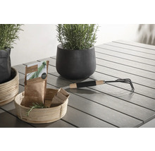 Scen med planteringskärl, örter, trädgårdsredskap och fröpåsar på ett trädgårdsbord.