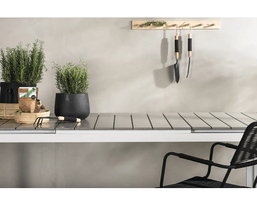 Uteplats med örter i krukor, trädgårdsredskap och ett bord med stol.