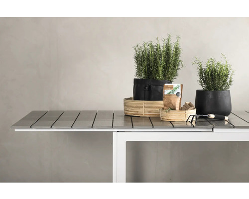 Dekorativt stilleben med växter på ett trädgårdsbord.