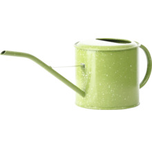 Vattenkanna i metall för trädgården