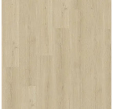 Vy över ljust laminatgolv.