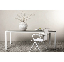 Matbord med stol, vas och dekoration för trädgården eller terrassen.