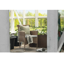 Trädgårdsstol med kudde och filt i ett växthus