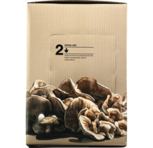 Förpackning för svampodlingssats med inskriptionen: Öppna här