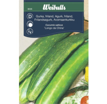 Weibulls gurkafrö av sorten 'Longo da China'