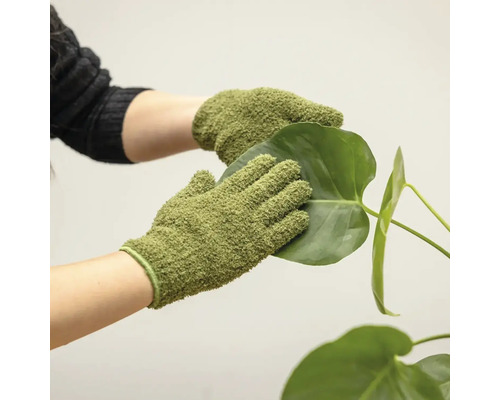 Händer med trädgårdshandskar rengör ett växtblad