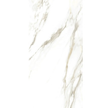 Marmorplatta med ådring