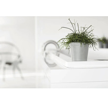 Grå Ecopots blomkruka med grön växt i en ljus, modern och minimalistisk miljö.